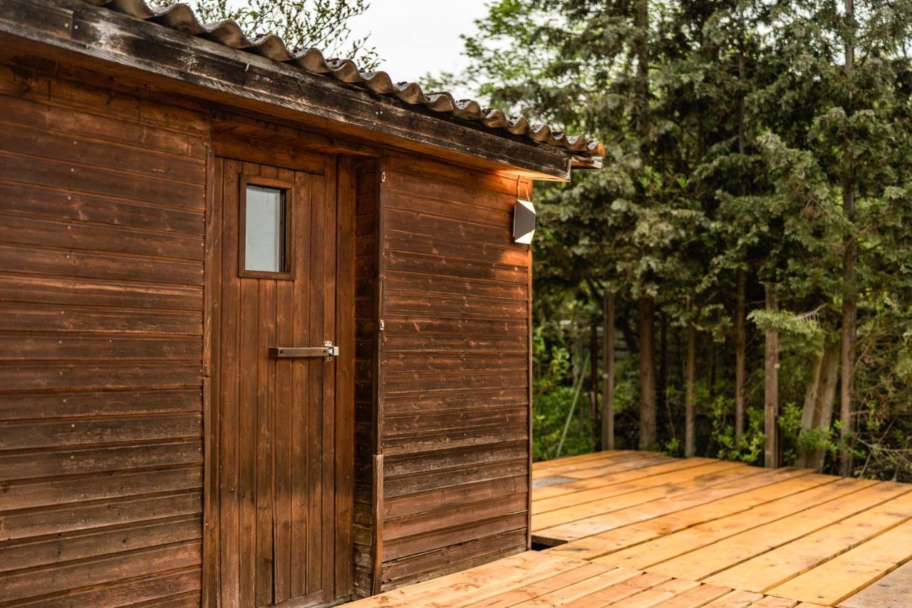 Die Entspannendste Wohnung Am Edersee - Spa Sauna Edertal Buitenkant foto